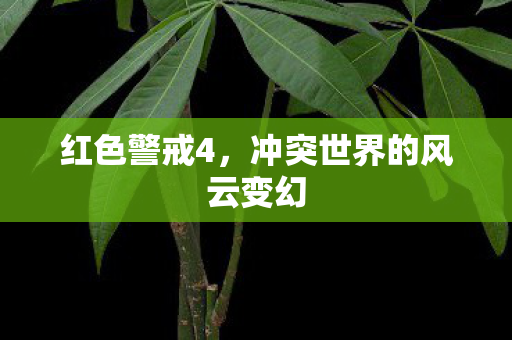 冲突世界的风云变幻图片