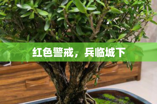 红色警戒图片