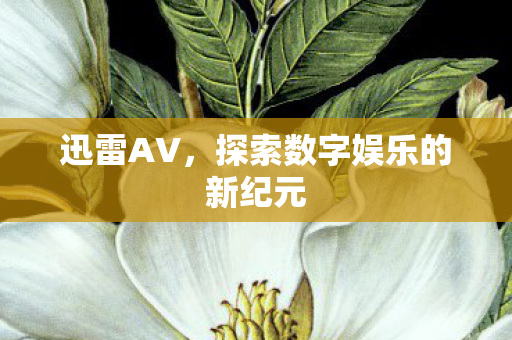 探索数字娱乐的新纪元图片
