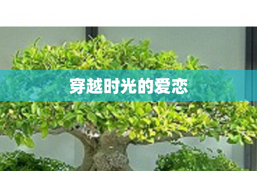 穿越时光的爱恋图片