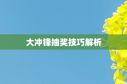 大冲锋抽奖技巧解析图片