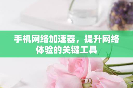 提升网络体验的关键工具图片