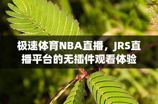 JRS直播平台的无插件观看体验图片