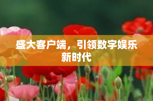 引领数字娱乐新时代图片