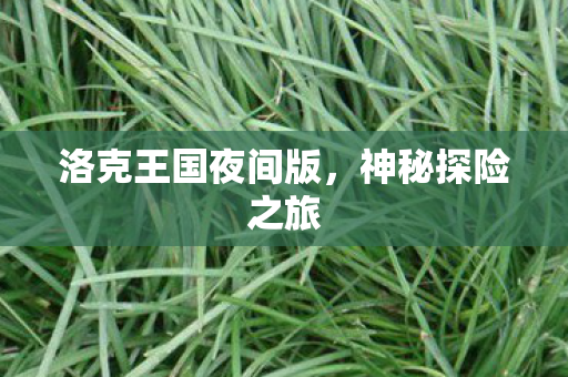 洛克王国夜间版图片