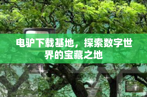 探索数字世界的宝藏之地图片