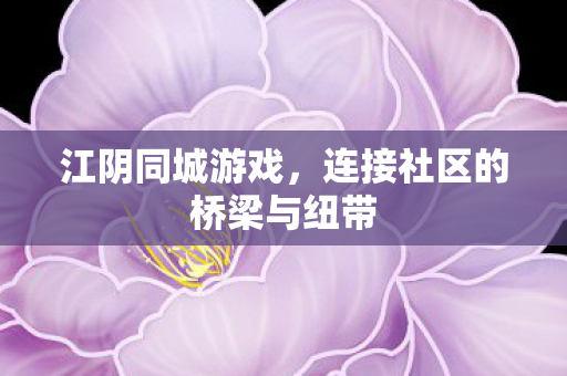 连接社区的桥梁与纽带图片