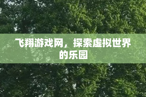 探索虚拟世界的乐园图片