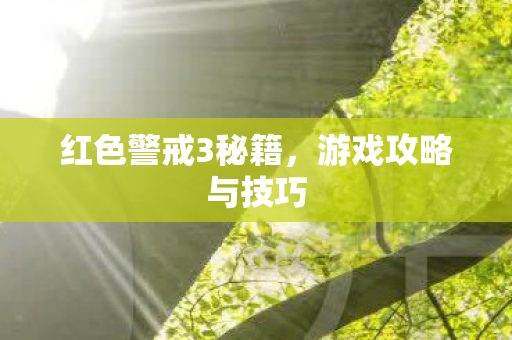 红色警戒3秘籍图片