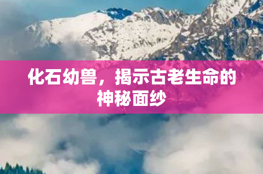 揭示古老生命的神秘面纱图片