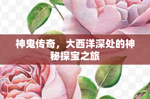 大西洋深处的神秘探宝之旅图片