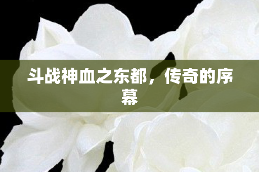 斗战神血之东都图片
