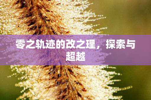 零之轨迹的改之理图片