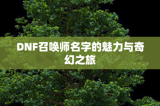 DNF召唤师名字的魅力与奇幻之旅图片