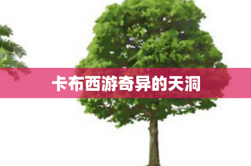卡布西游奇异的天洞图片