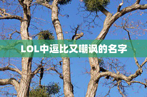 LOL中逗比又嘲讽的名字图片