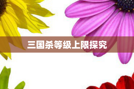 三国杀等级上限探究图片