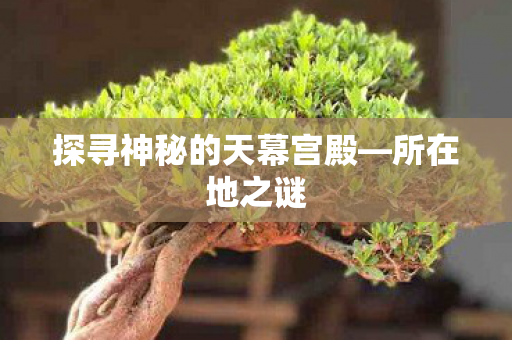 探寻神秘的天幕宫殿图片