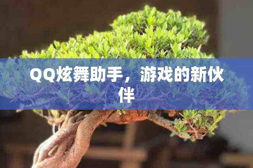 QQ炫舞助手图片
