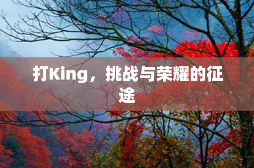 挑战与荣耀的征途图片