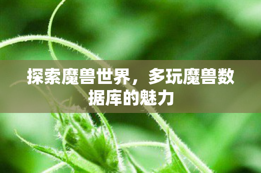 多玩魔兽数据库的魅力图片