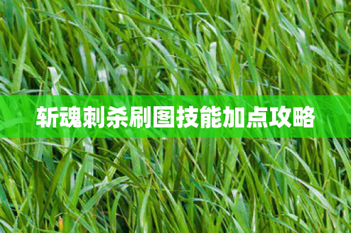 斩魂刺杀刷图技能加点攻略图片