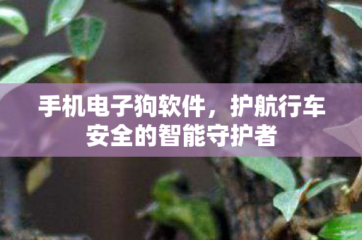 护航行车安全的智能守护者图片