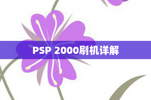 PSP 2000刷机详解图片