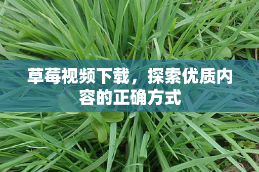 探索优质内容的正确方式图片