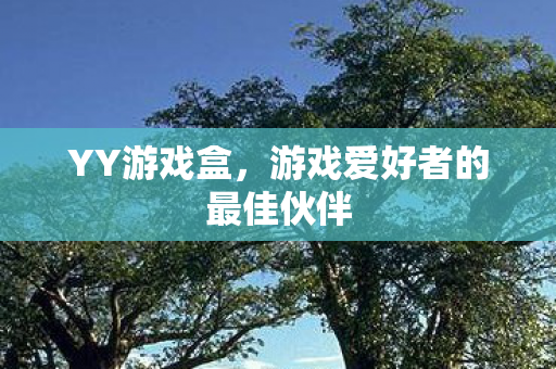 游戏爱好者的最佳伙伴图片