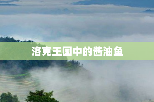 洛克王国中的酱油鱼图片