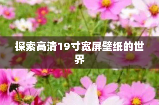 探索高清19寸宽屏壁纸的世界图片
