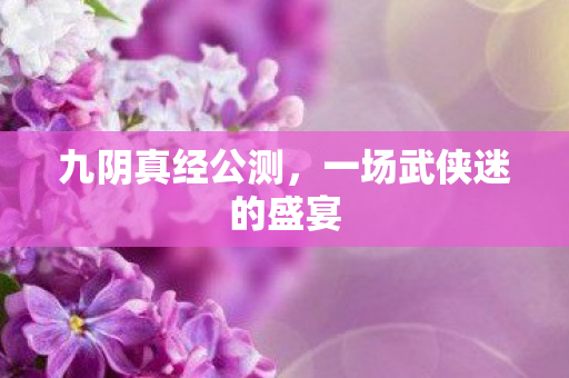 一场武侠迷的盛宴图片