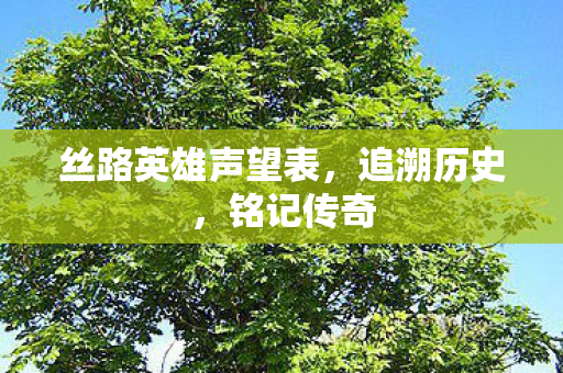 丝路英雄声望表图片