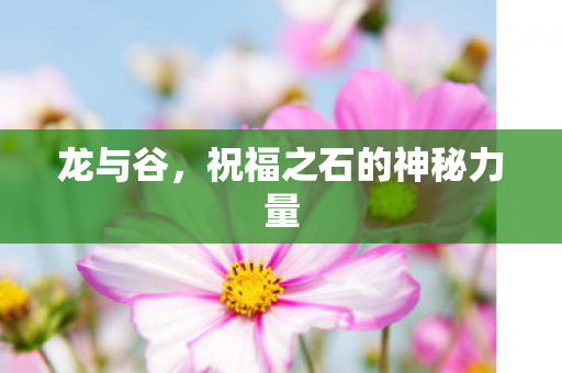 祝福之石的神秘力量图片