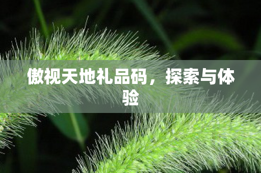 傲视天地礼品码图片