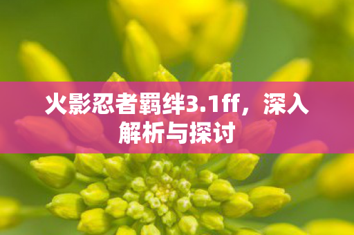 火影忍者羁绊3图片