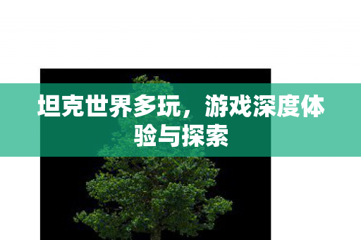 游戏深度体验与探索图片