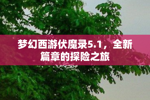 全新篇章的探险之旅图片