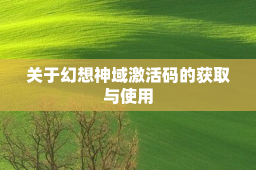 关于幻想神域激活码的获取与使用图片