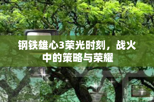 钢铁雄心3荣光时刻图片