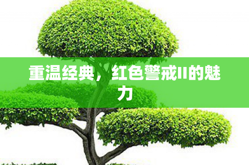 红色警戒II的魅力图片