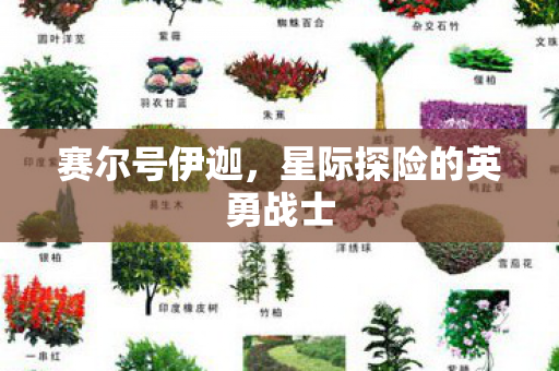 星际探险的英勇战士图片