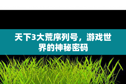 游戏世界的神秘密码图片