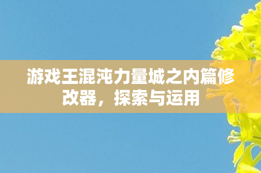 游戏王混沌力量城之内篇修改器图片