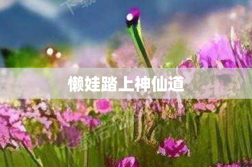 懒娃踏上神仙道图片
