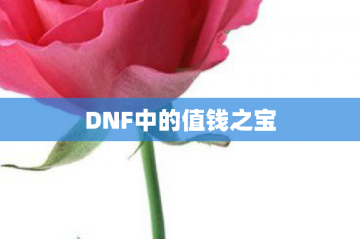 DNF中的值钱之宝图片