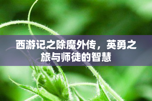英勇之旅与师徒的智慧图片