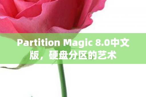 Partition Magic 8图片