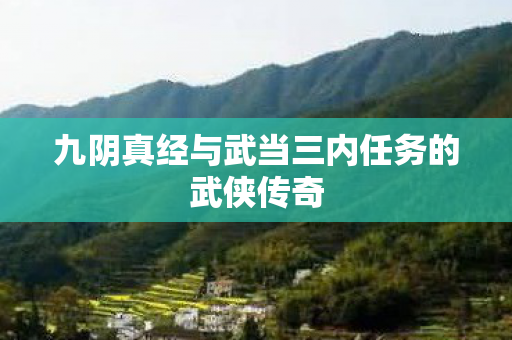 九阴真经与武当三内任务的武侠传奇图片